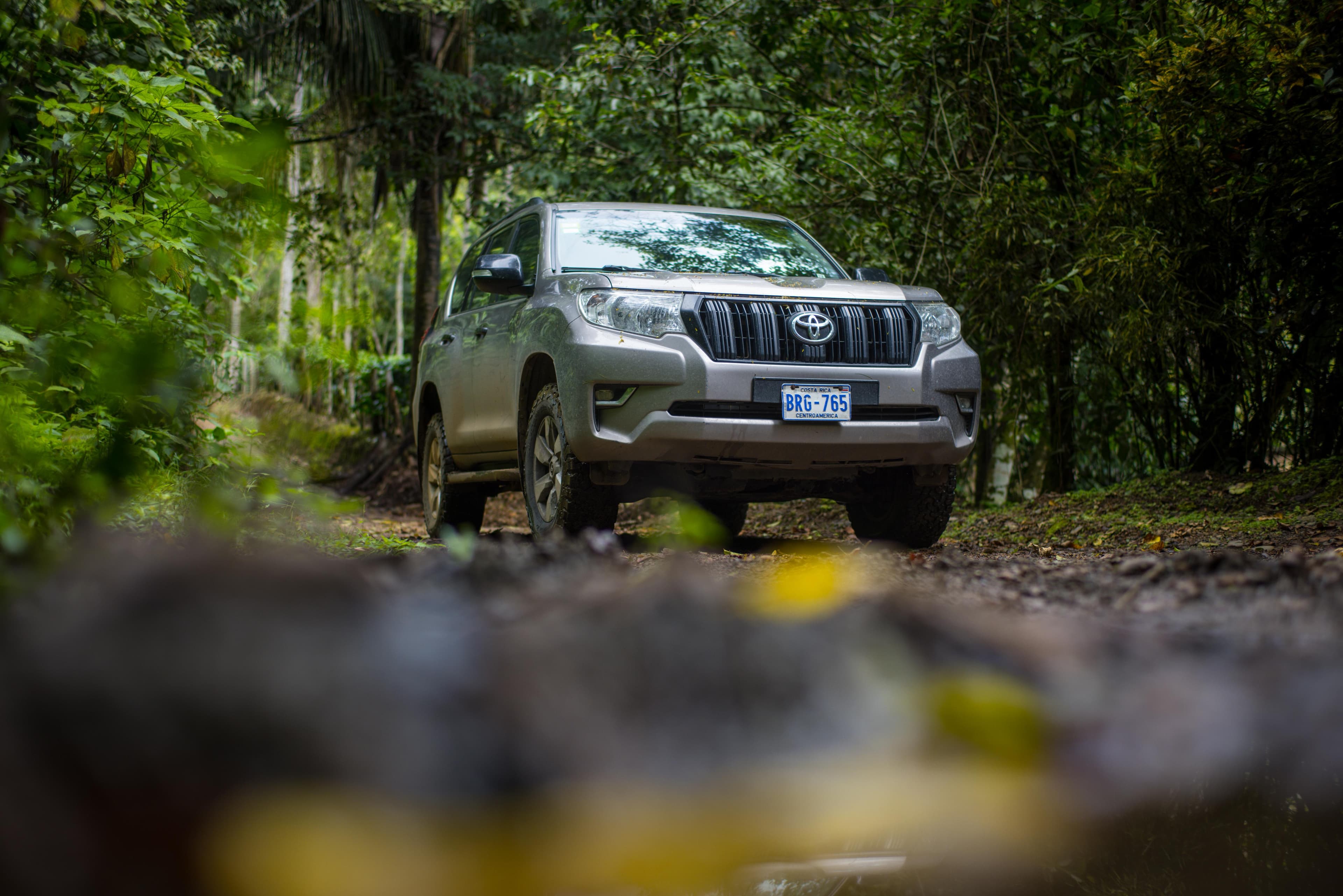 Scenic road through Costa Rica jungle