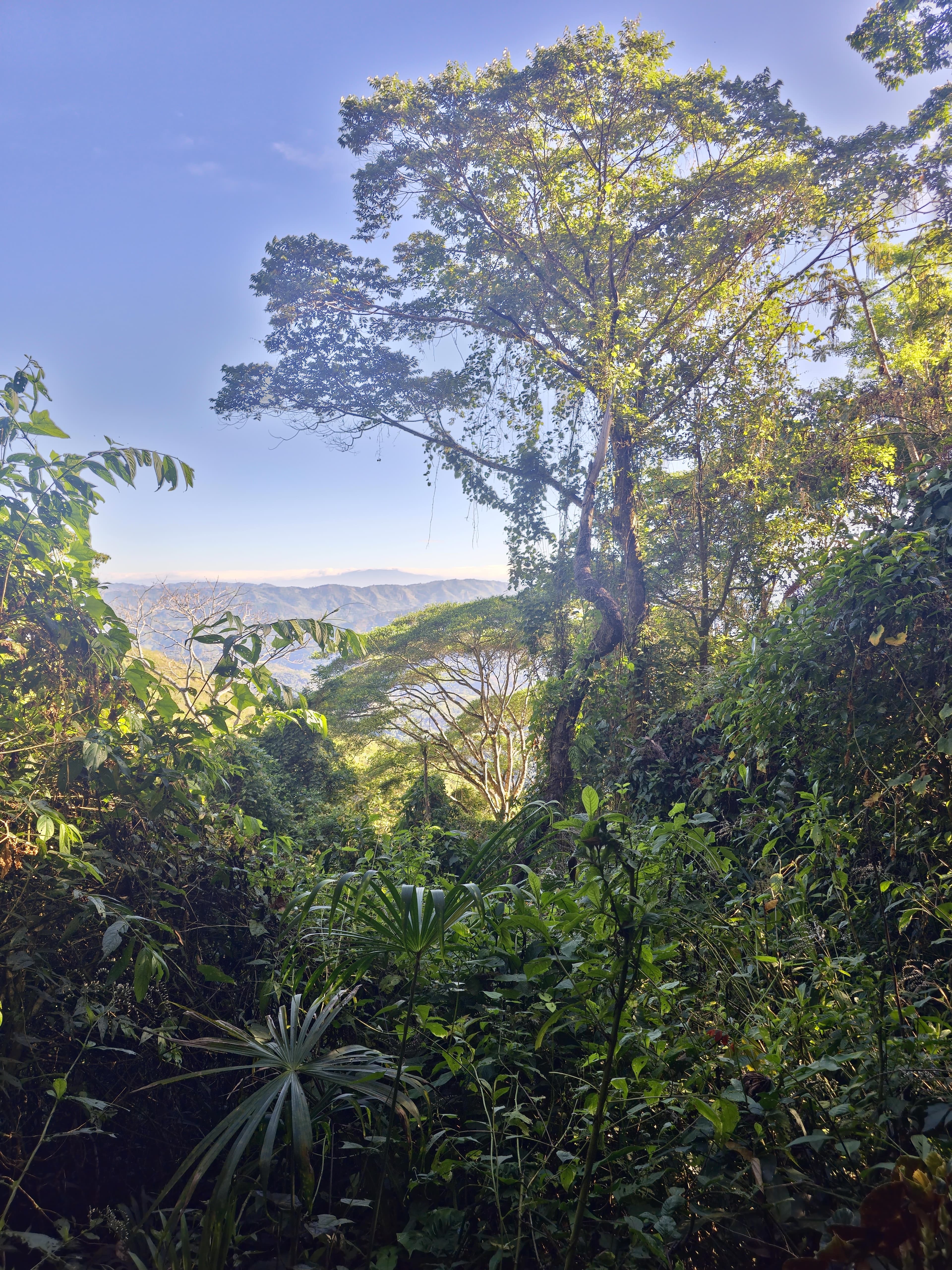 Costa Rica landscape